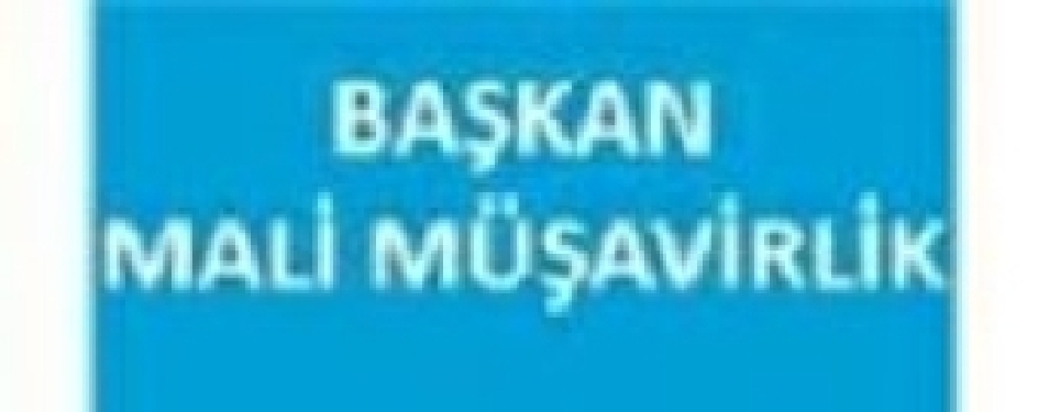 BAŞKAN MALİ MÜŞAVİRLİK
